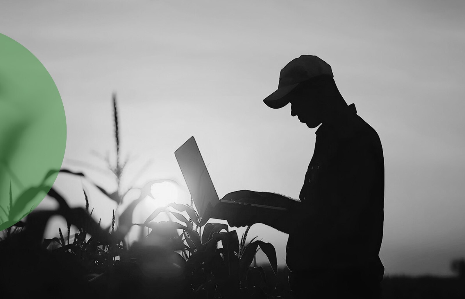 business intelligence para physis